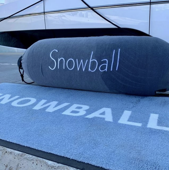 Print - Snowball funda